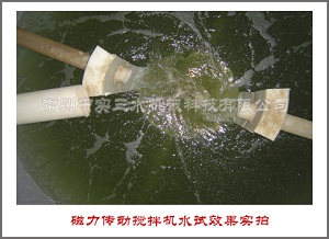 磁力傳動攪拌機(jī)水試效果實(shí)拍