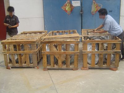 �½���ʯ�͔���C(j��)�l(f��)؛