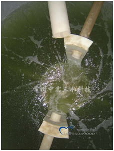 ����C���菊��ˮԇ